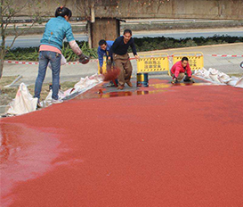 陶瓷颗粒防滑路面